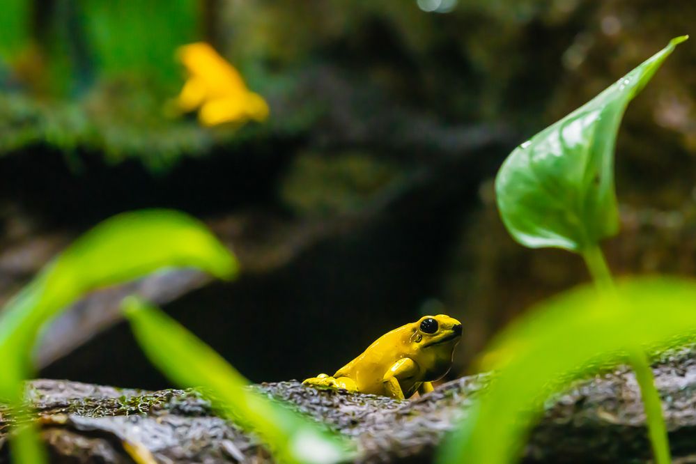 Photograph by Daniel Garzón Moreno