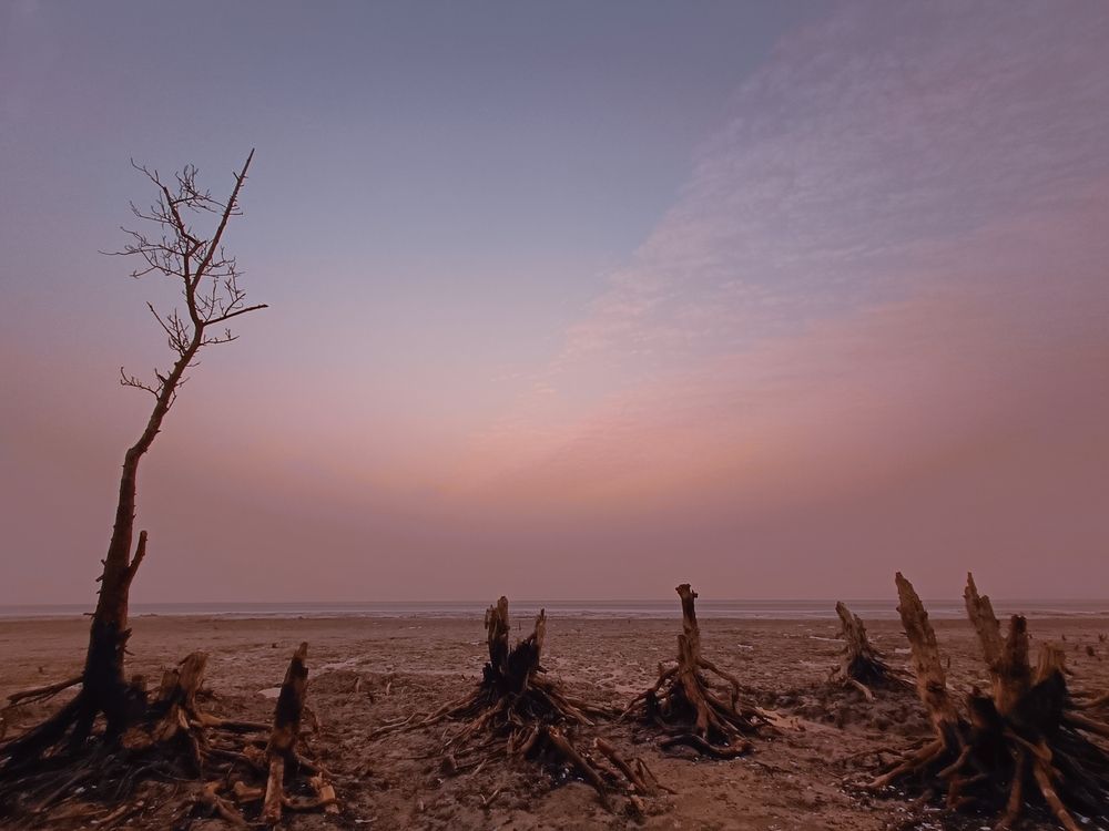 Photograph by Shreyan Dey Sarkar