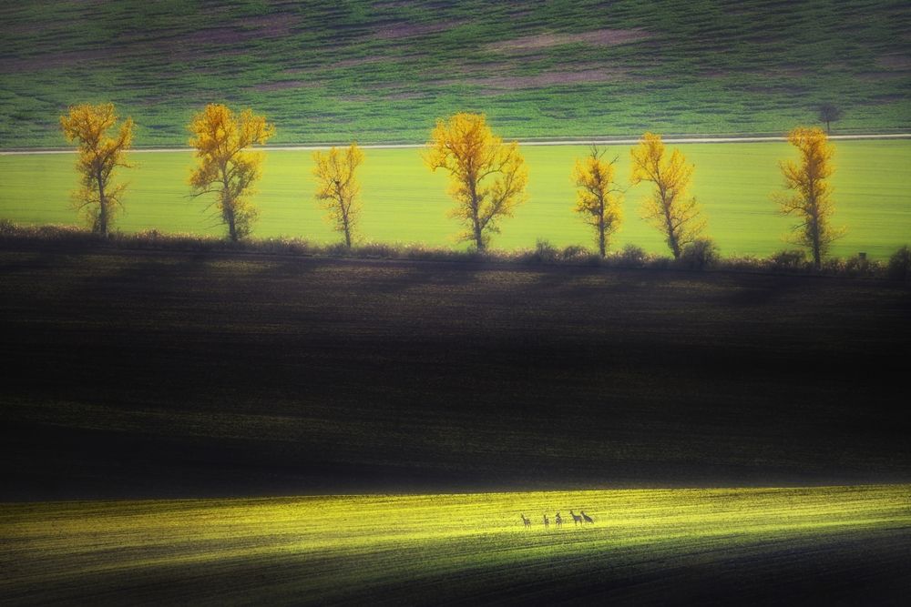 Photograph by Василий Яковлев