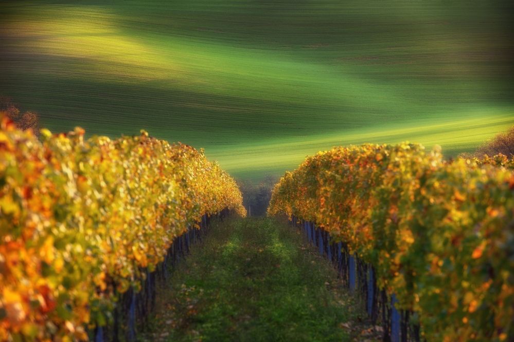 Photograph by Василий Яковлев