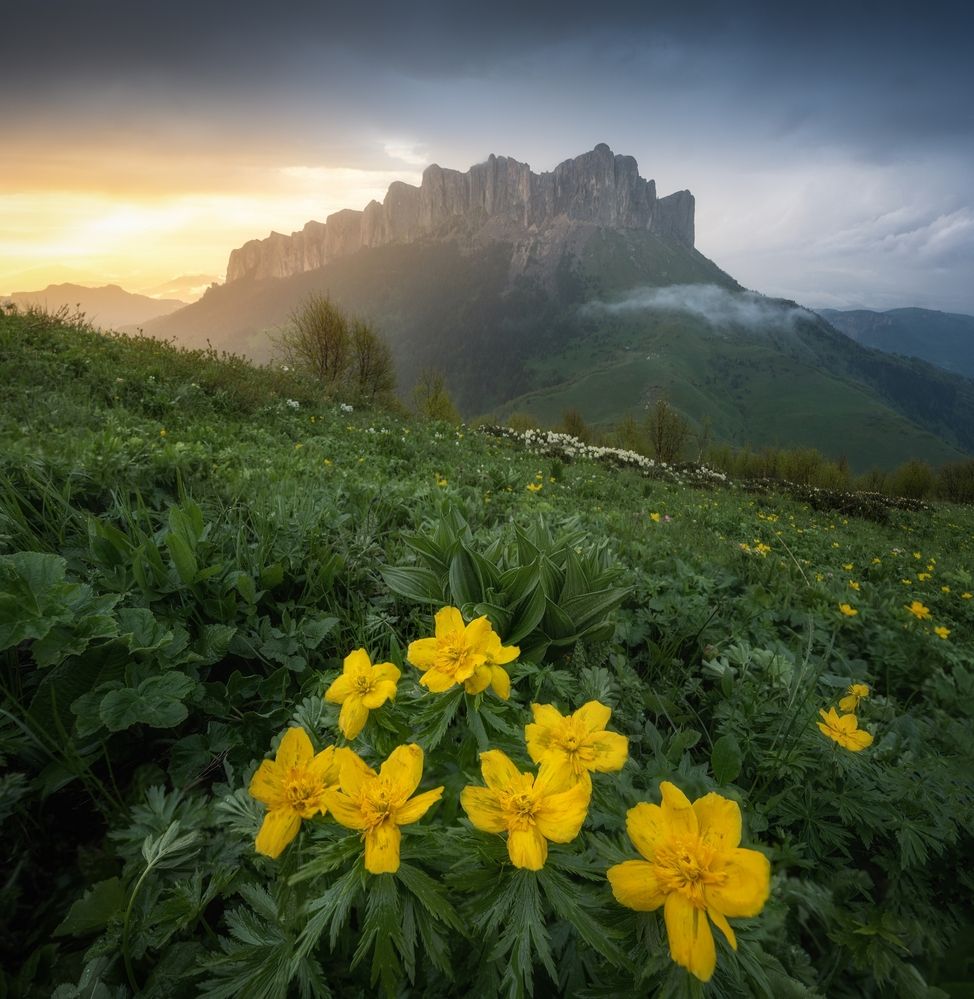 Photograph by Василий Яковлев