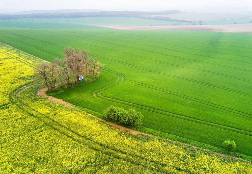 Photograph by Василий Яковлев