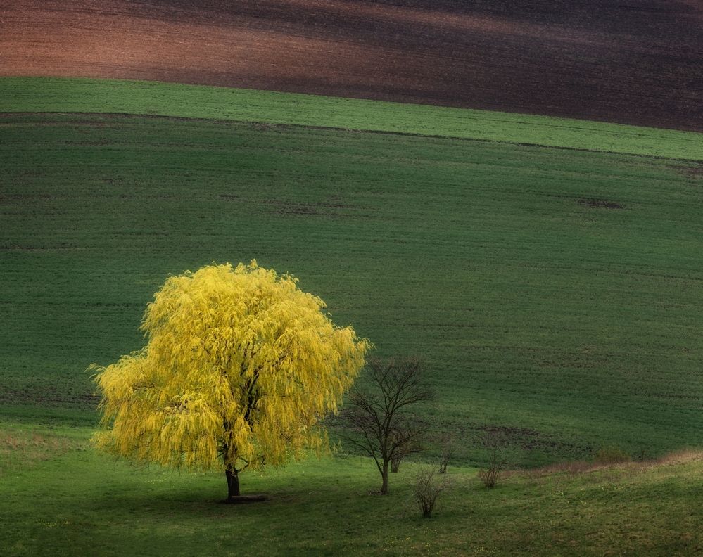 Photograph by Василий Яковлев