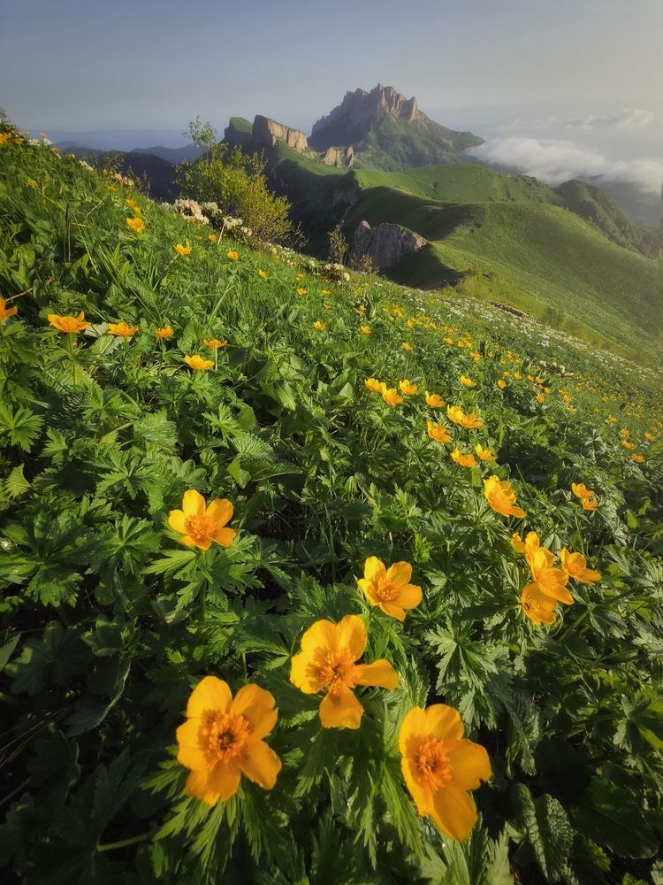 Photograph by Василий Яковлев