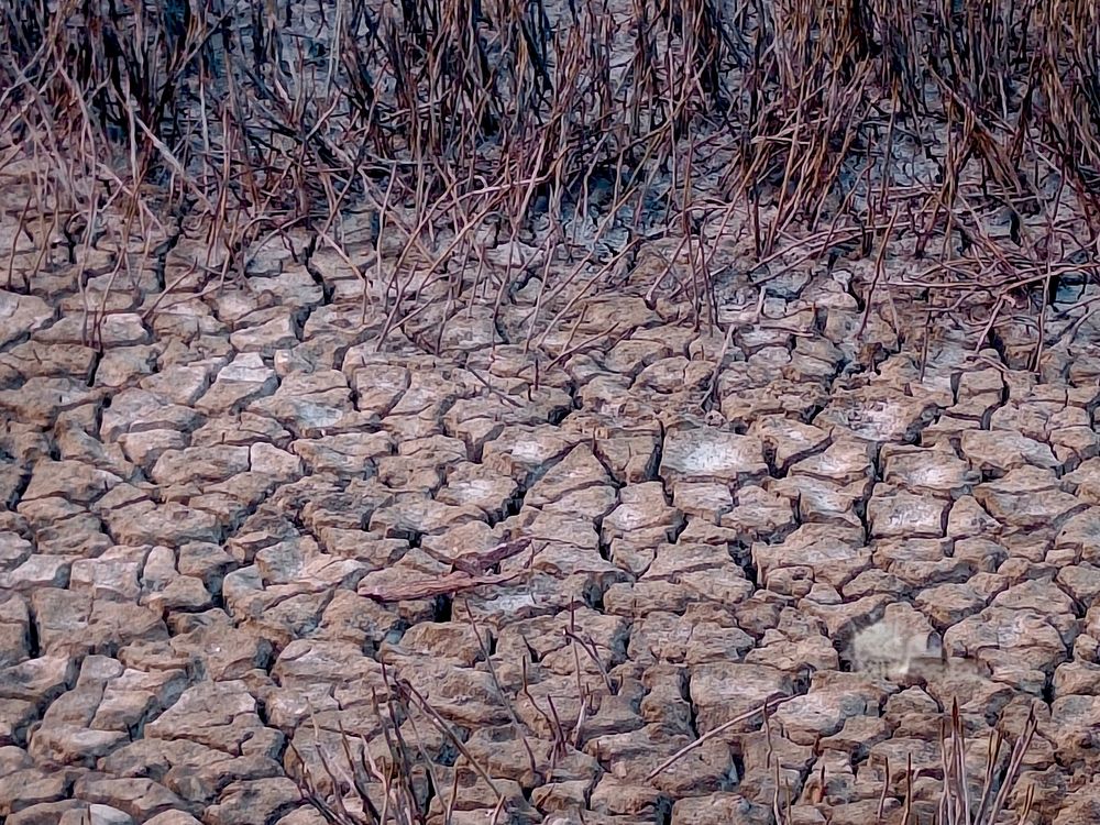 Фотография автора Shreyan Dey Sarkar