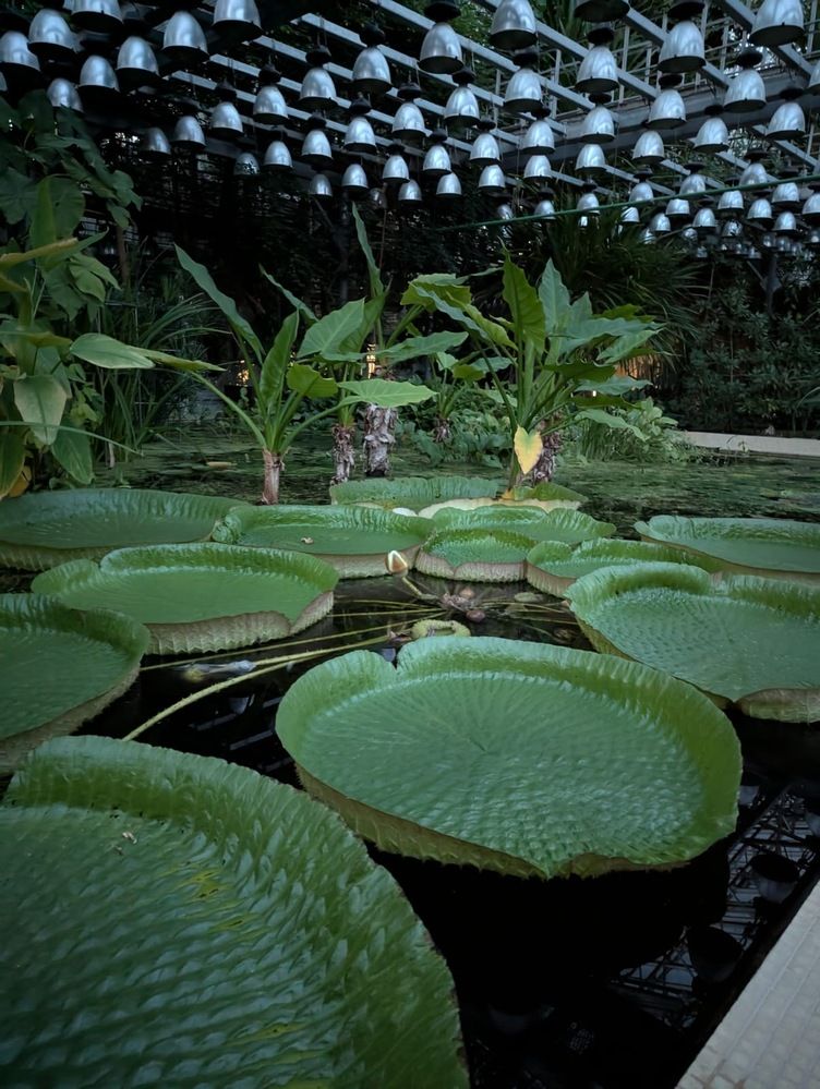 Photograph by Елена