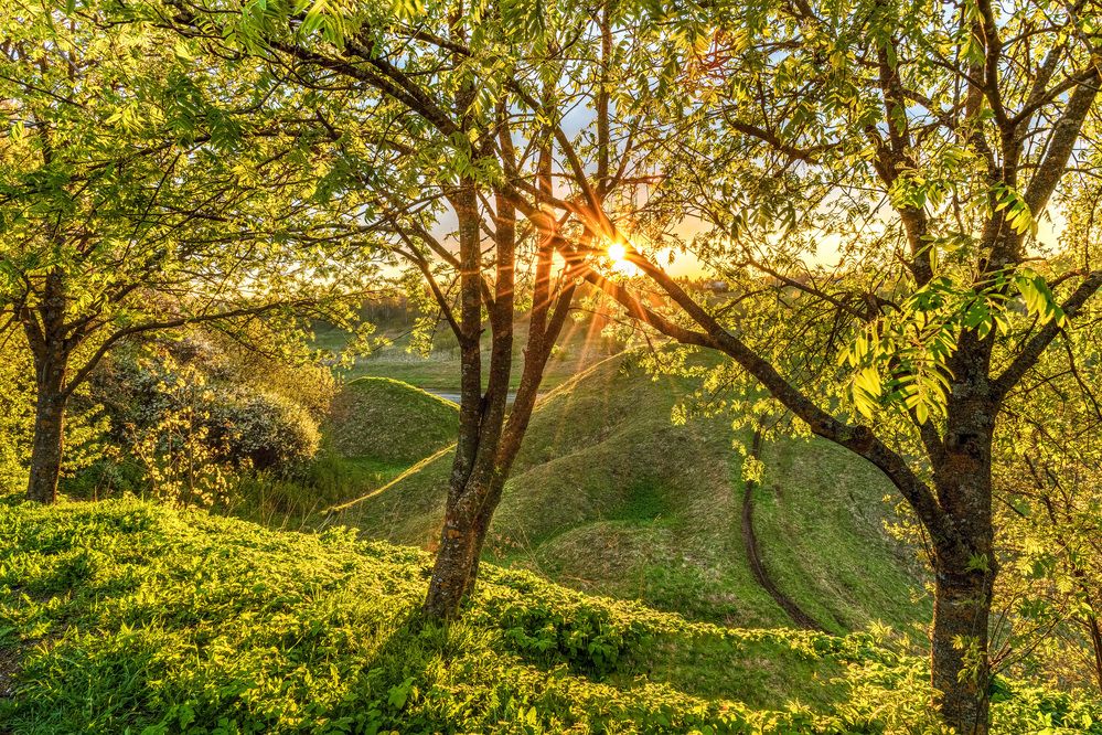 Photograph by Pavel Khrainikov