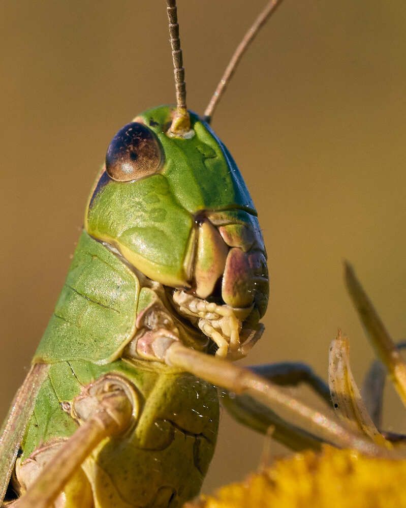 Photograph by Mikhail Khmelevskiy