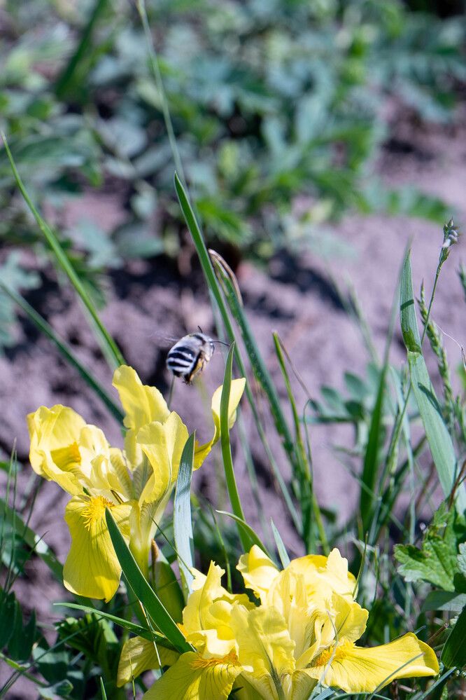 Photograph by Елена Николайчук