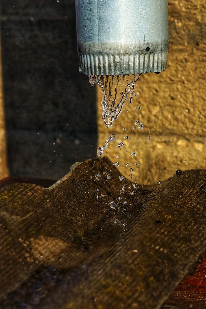 Фотография автора Роман Савин