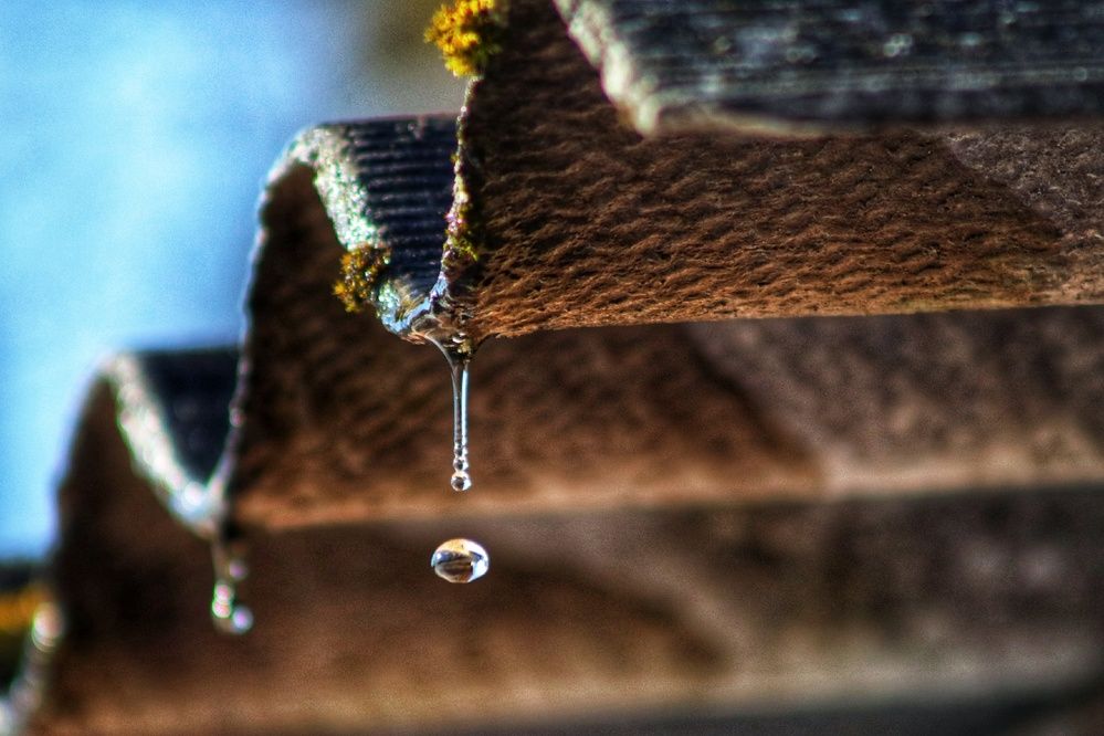 Фотография автора Роман Савин