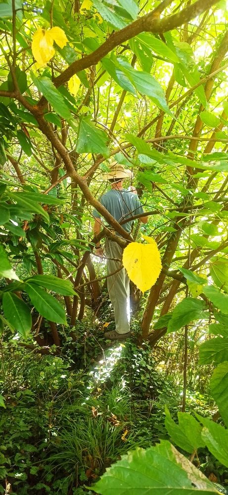 Photograph by Валерия Сопова