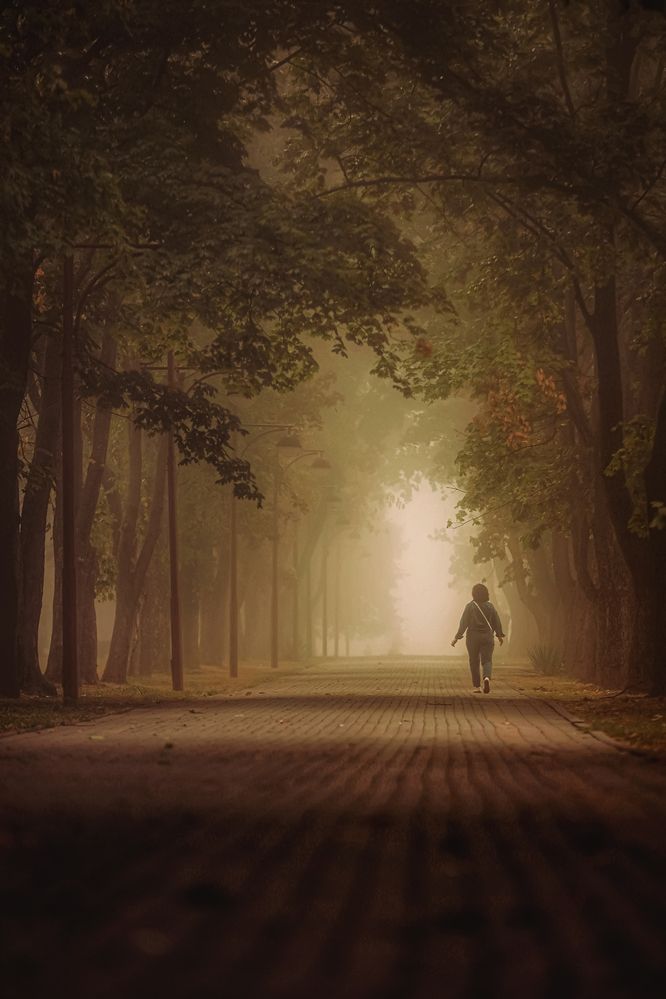 Photograph by Владимир Кульбит