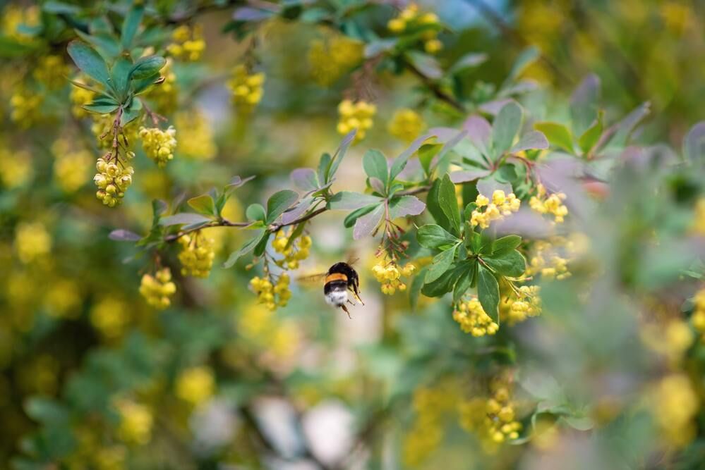 Photograph by Ирина Ященко