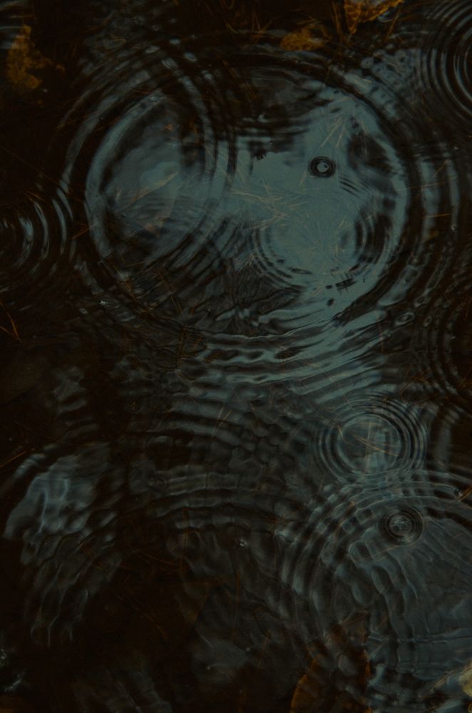 Photograph by Евгения Россоловская