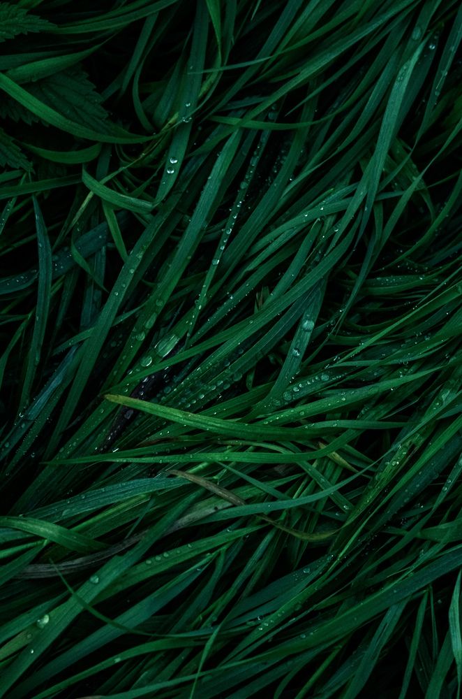 Photograph by Евгения Россоловская