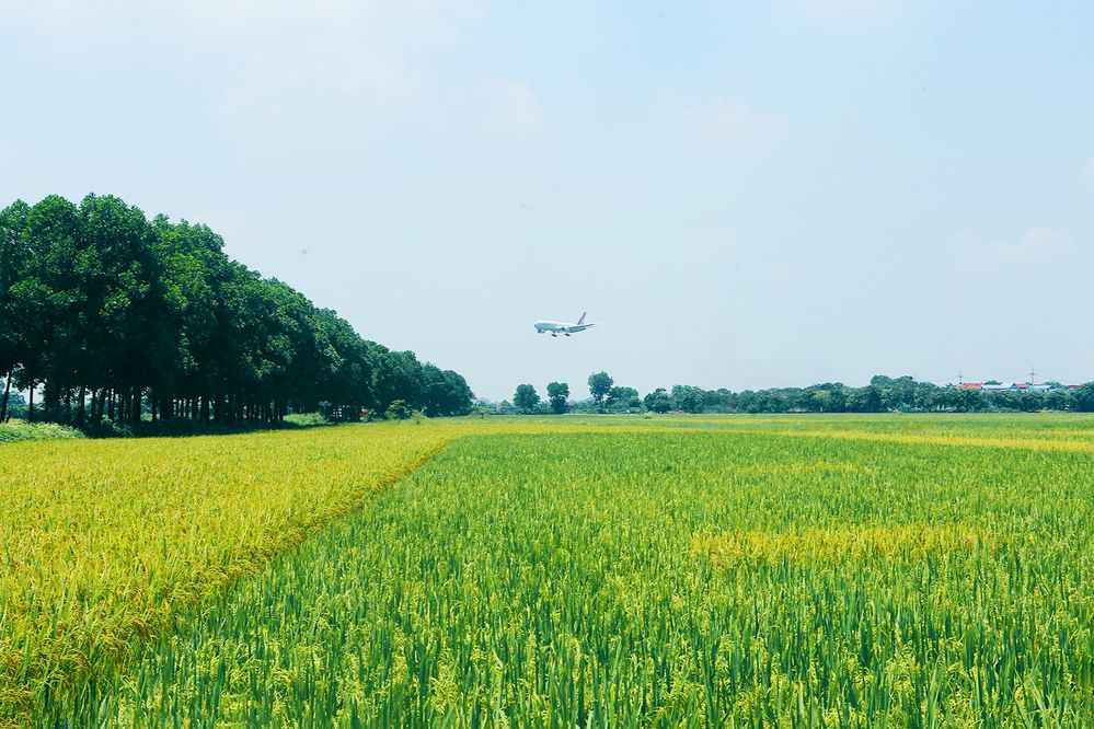 Photograph by Tung Vu Thanh