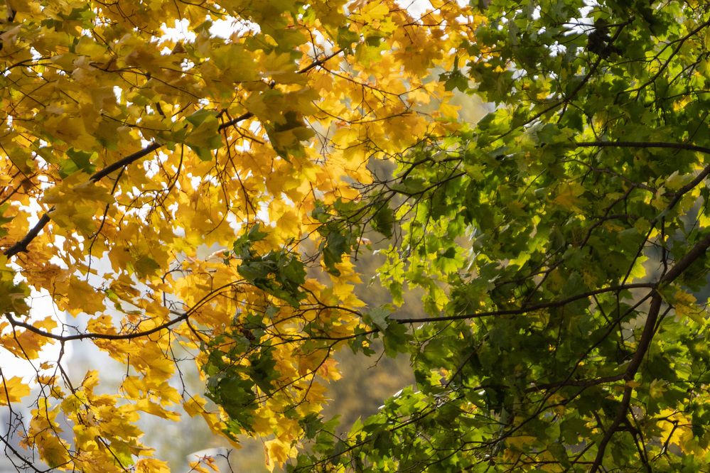 Photograph by Владимир Охрименко