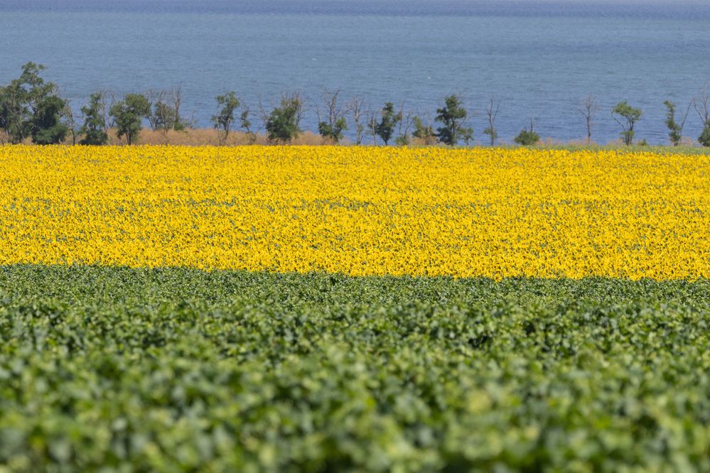 Photograph by Владимир Охрименко