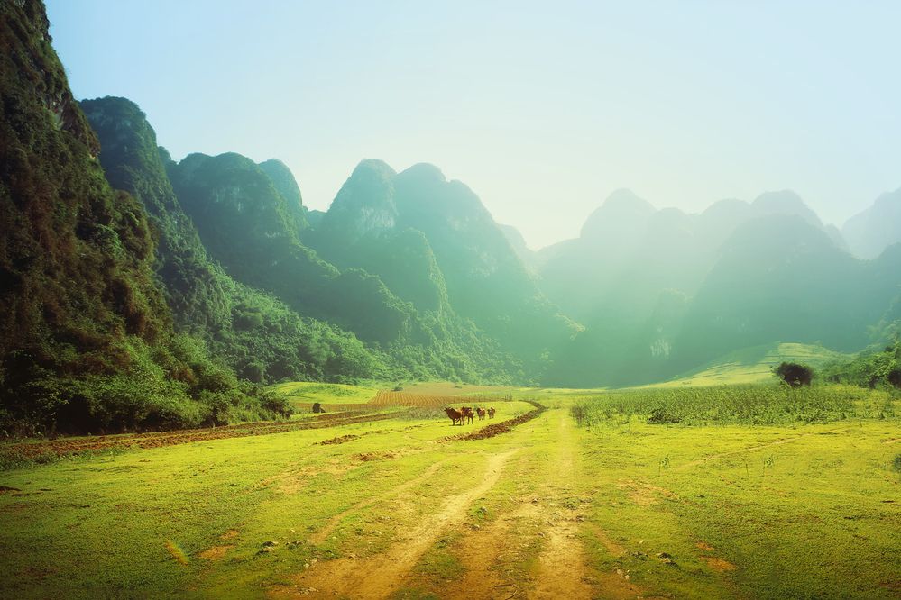 Photograph by Tung Vu Thanh