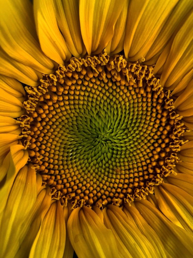 Photograph by Мария Карпычева