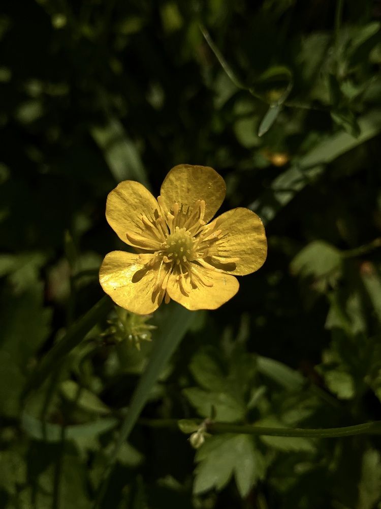 Photograph by Мария Карпычева