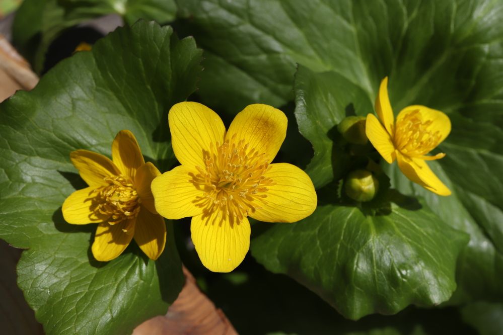 Photograph by Se Lena