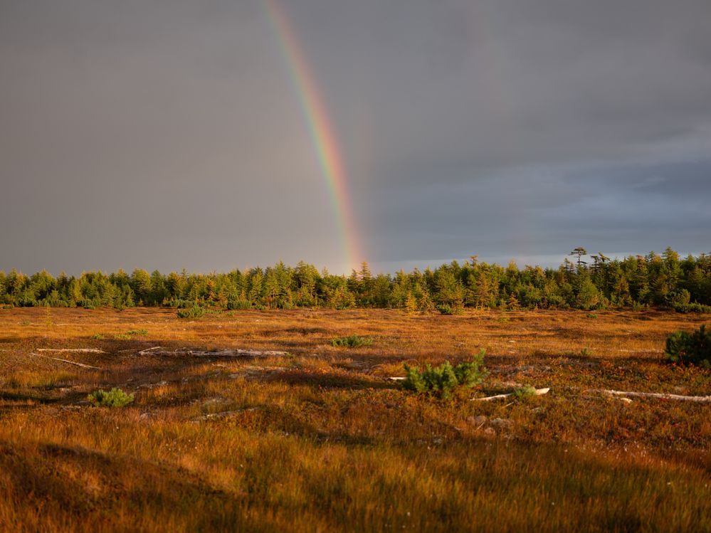 Photograph by Хазан Сергей