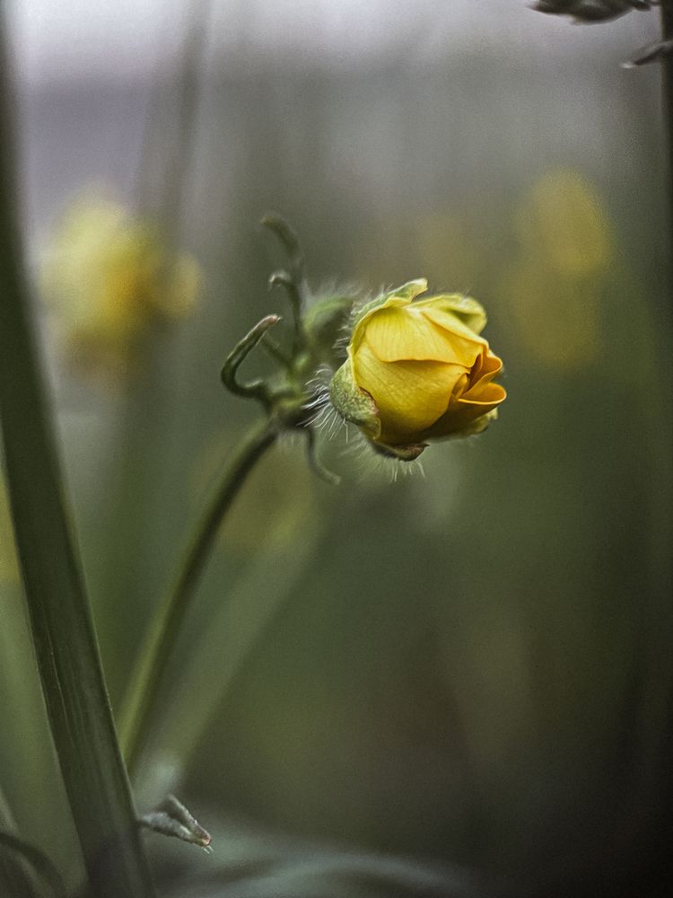 Photograph by Анна