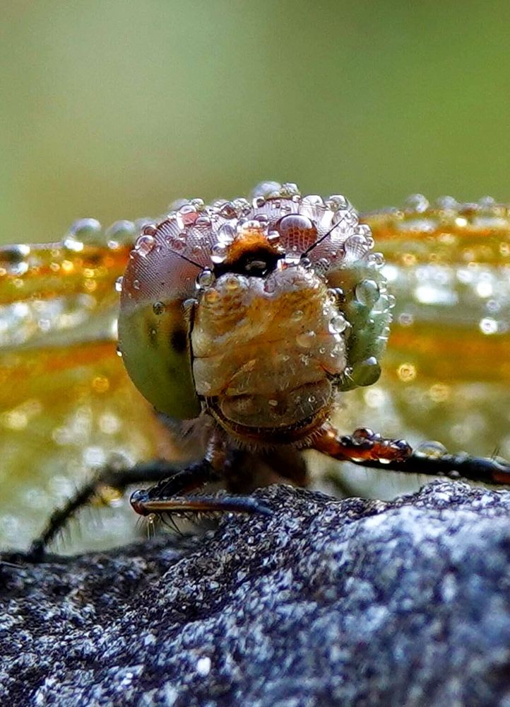 После дождя.