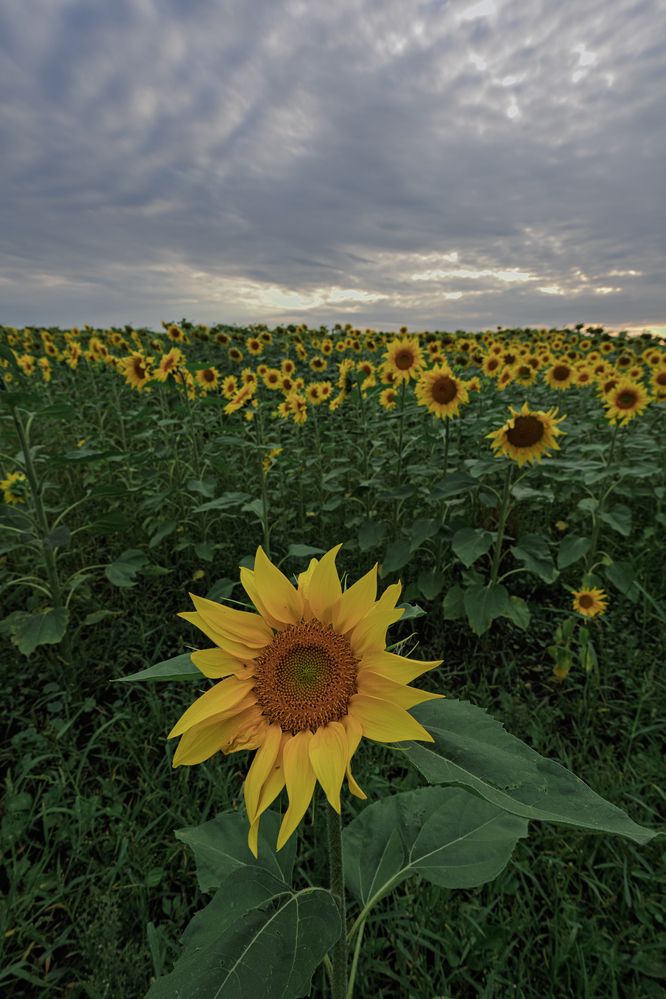 Photograph by Андрей Пучков