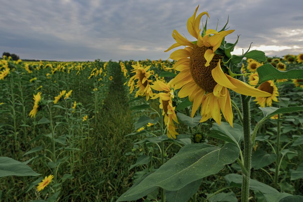 Photograph by Андрей Пучков