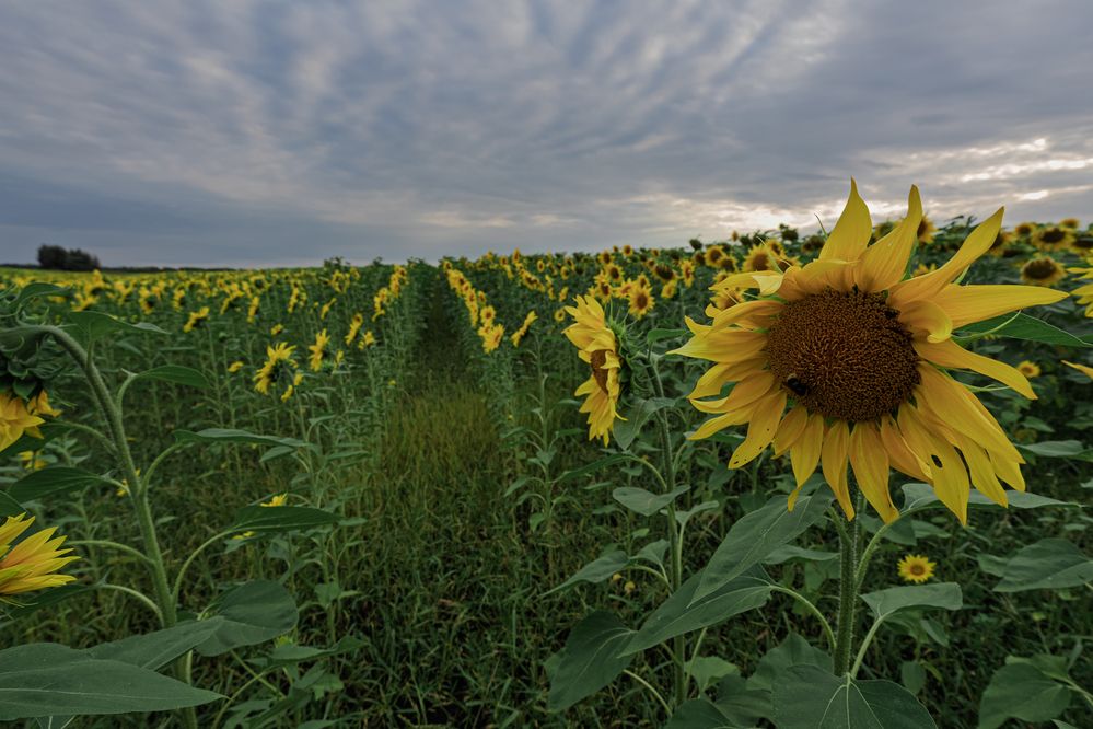 Photograph by Андрей Пучков