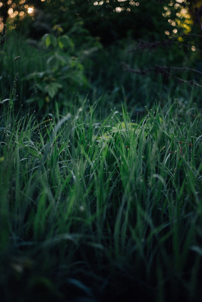 Photograph by Светлана Субботина