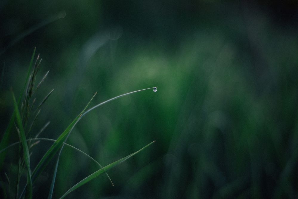 Photograph by Светлана Субботина