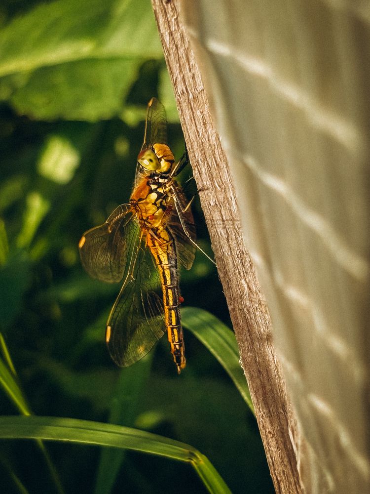 Photograph by Марина Харитонова