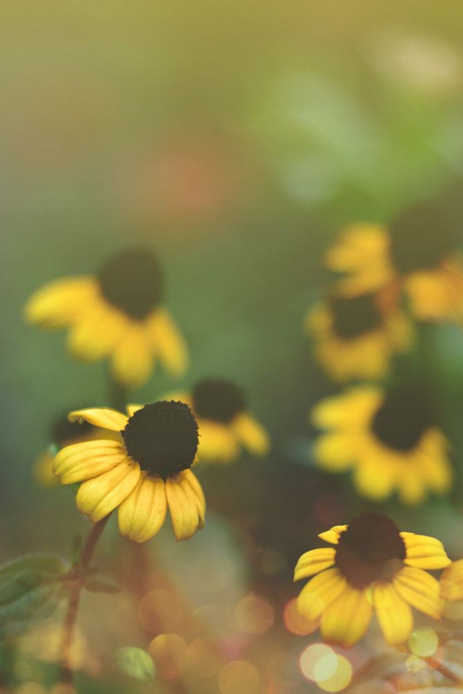 Photograph by Magic Helios