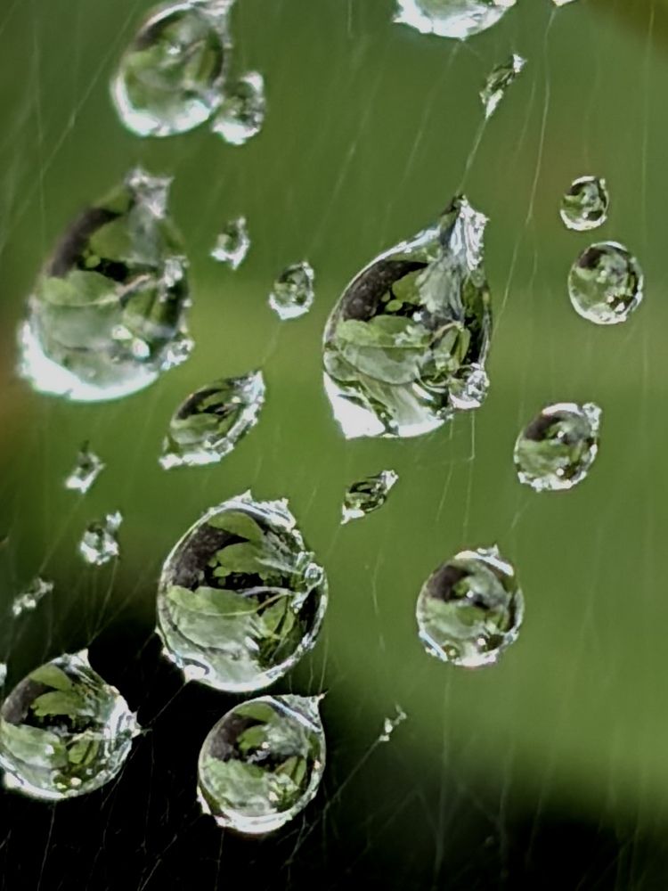 Photograph by Nagasaki Marina