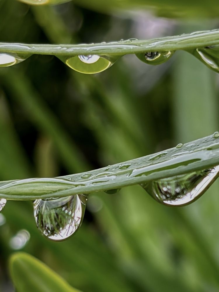 Photograph by Nagasaki Marina