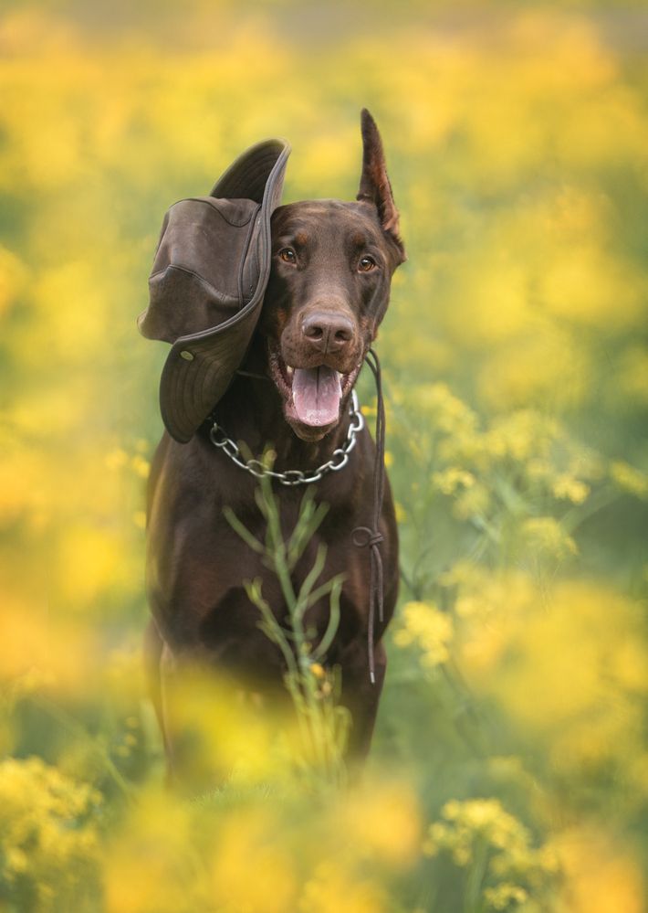 Photograph by Мария Клещенко