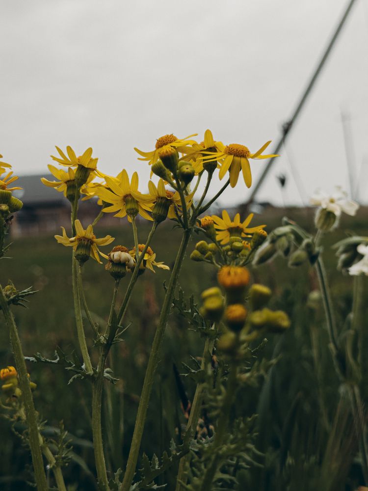 Photograph by Анна Голубцова