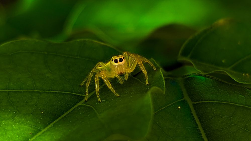 Photograph by SARAVANA MANICKAM