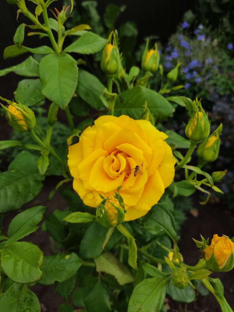 Photograph by Наталья Билай