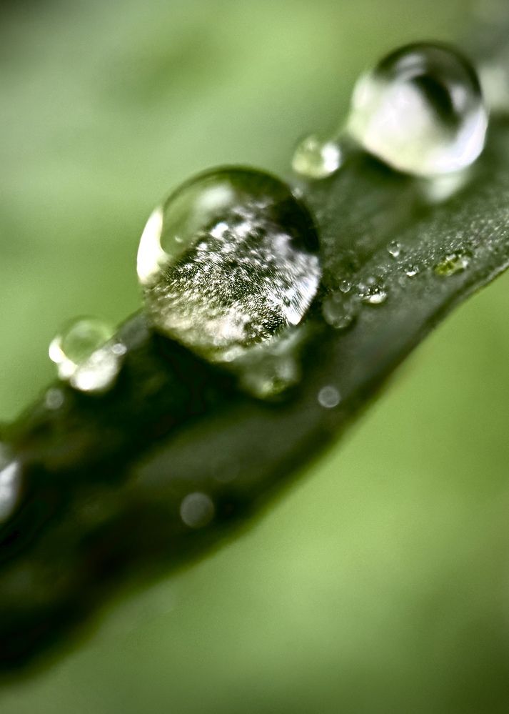 Photograph by Oxana Petlina