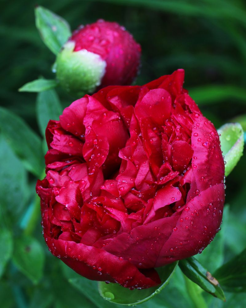 Photograph by Мария Данилина