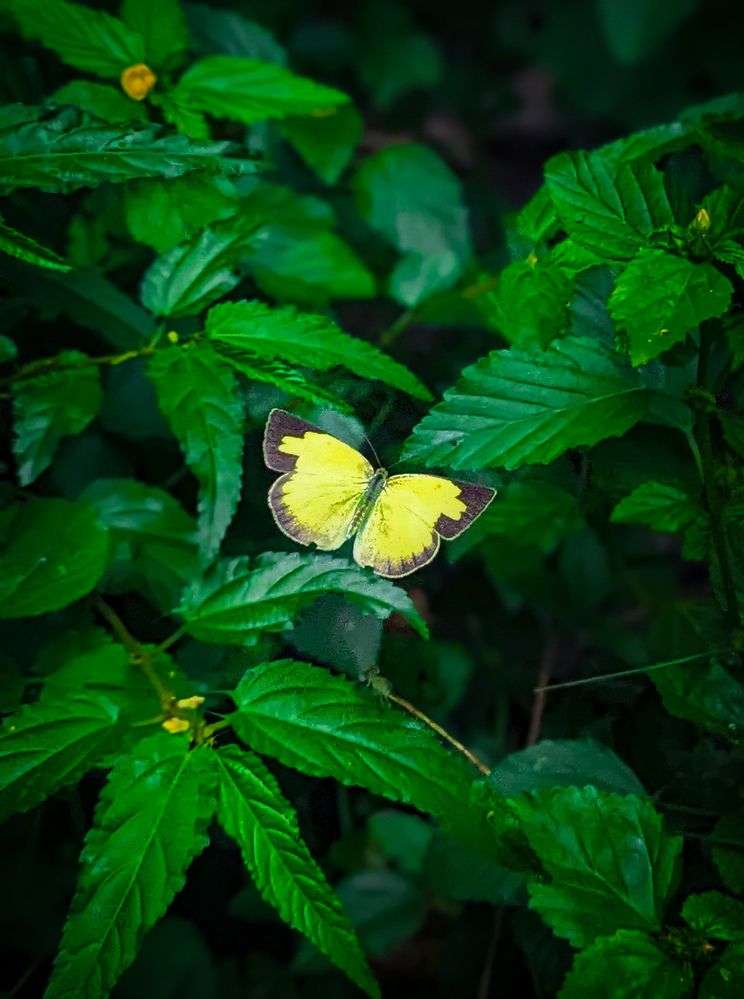 Photograph by SARAVANA MANICKAM