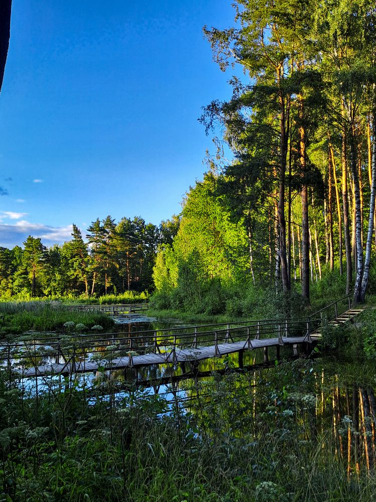 Фотография автора Anna Popova