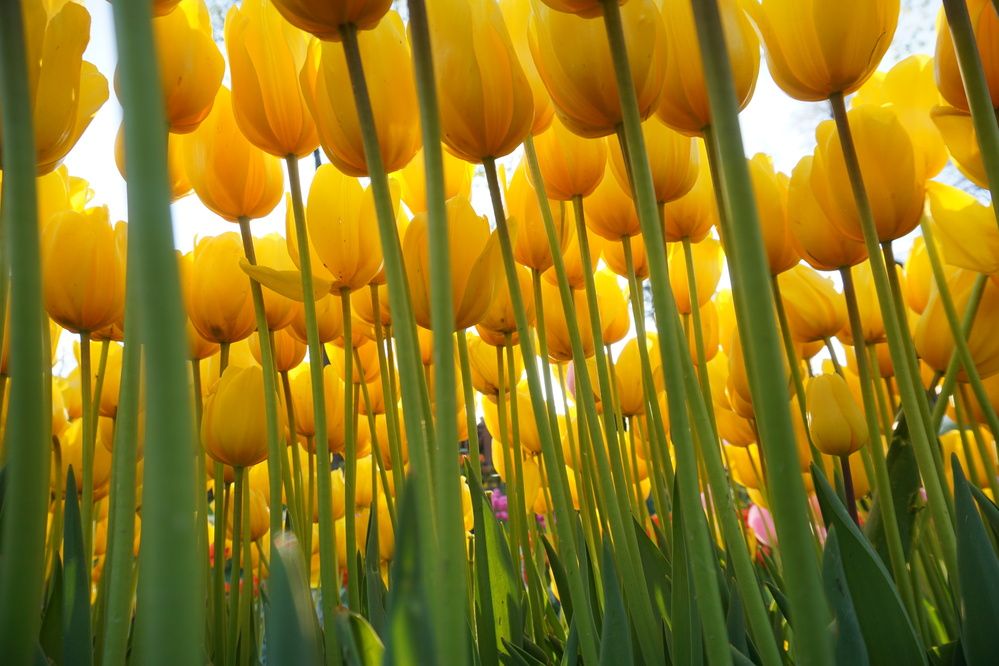 Photograph by Feramuz Gurel