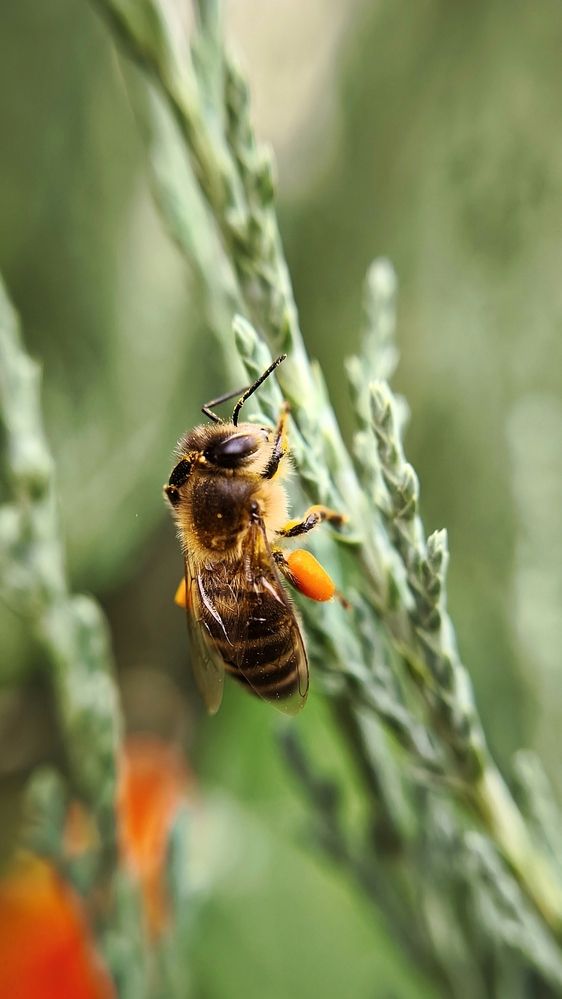 Photograph by Eugenia Blinova