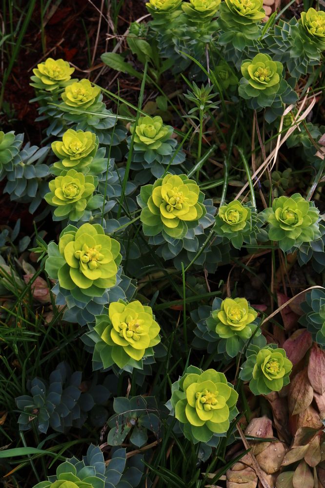 Photograph by Светлана Шуткова